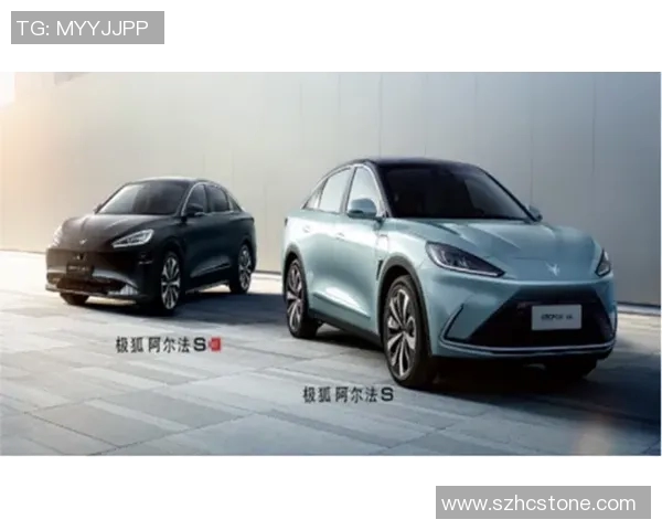 上海排球队防守革新之路探索与实践解析